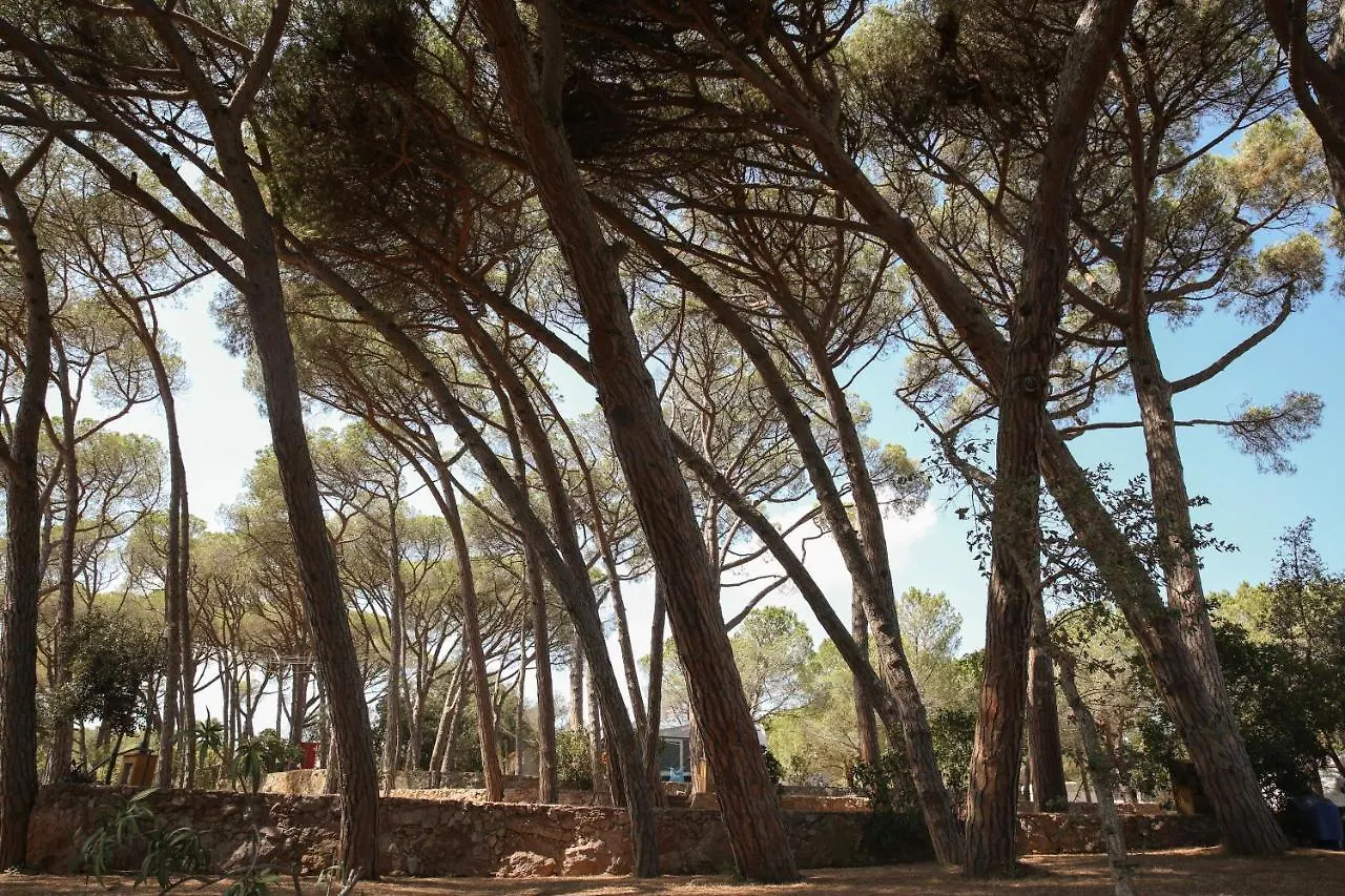 Camping 3 Estrellas Costa Brava 벨로브레가 캠프장