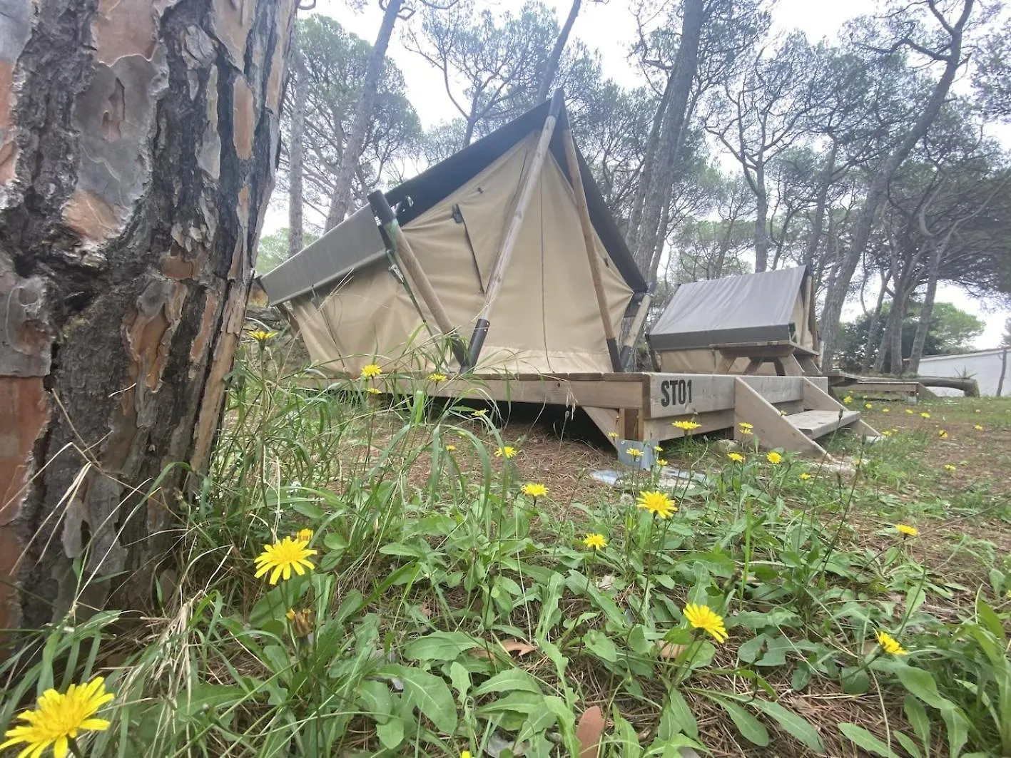 Camping 3 Estrellas Costa Brava Vall-Llobrega